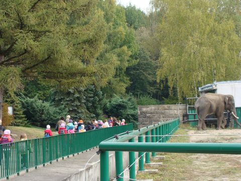 Wycieczka do Centralnego Muzeum Poarnictwa w Mysowicach i ZOO w Chorzowie