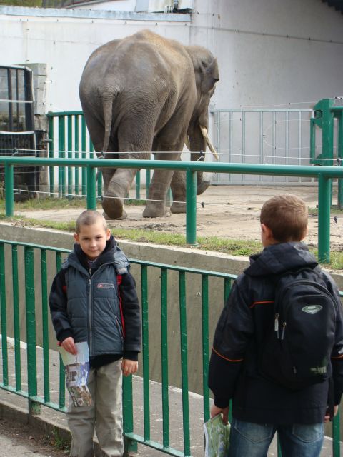 Wycieczka do Centralnego Muzeum Poarnictwa w Mysowicach i ZOO w Chorzowie