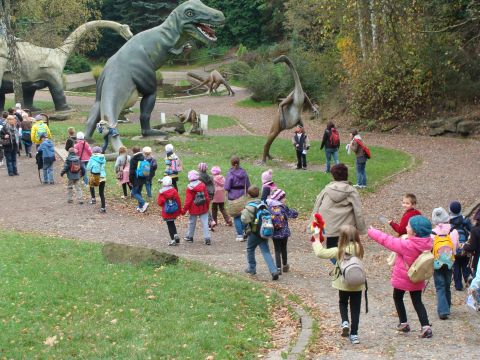 Wycieczka do Centralnego Muzeum Poarnictwa w Mysowicach i ZOO w Chorzowie