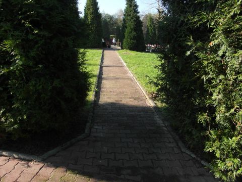 Dzie gospodarczy