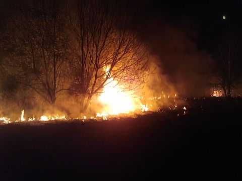 Wielki pożar nieużytków w Grojcu Wielki pożar nieużytków w Grojcu