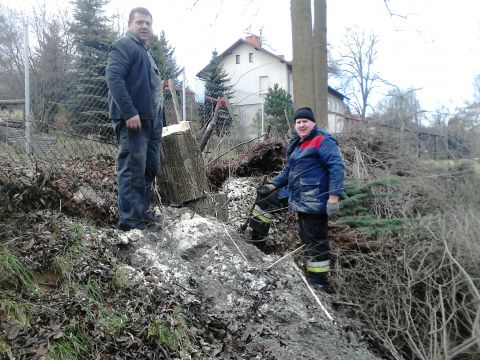 Wycinka drzew przy szkole podstawowej w Grojcu
