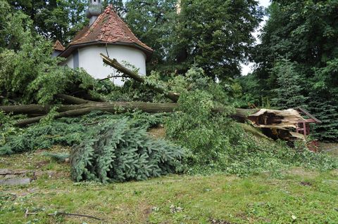 Usuwanie skutków porannej nawałnicy Usuwanie skutków porannej nawałnicy