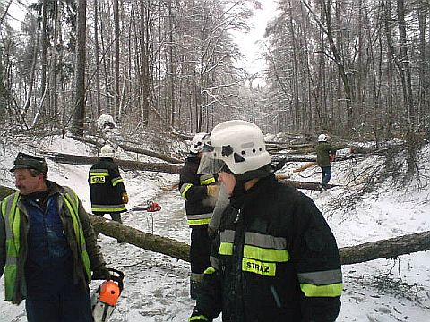 Akcja usuwanie zagroen na drodze powiatowej