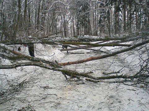 Akcja usuwanie zagroen na drodze powiatowej