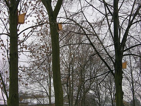Akcja zawieszania budek