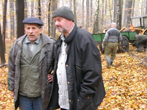 Prace leśne Prace leśne