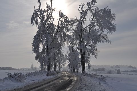 Bajkowa zima w Grojcu