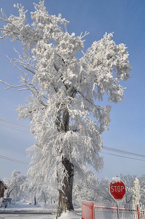 Bajkowa zima w Grojcu