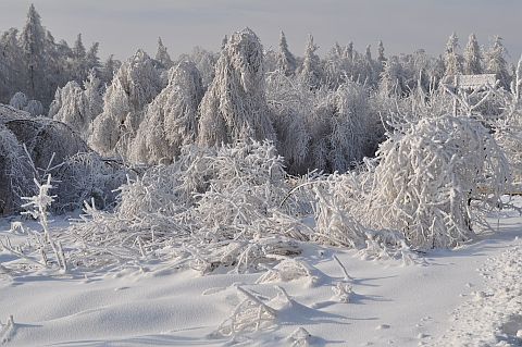 Bajkowa zima w Grojcu