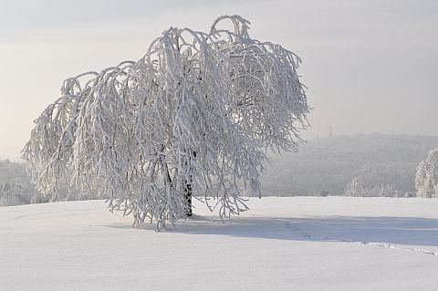 Bajkowa zima w Grojcu